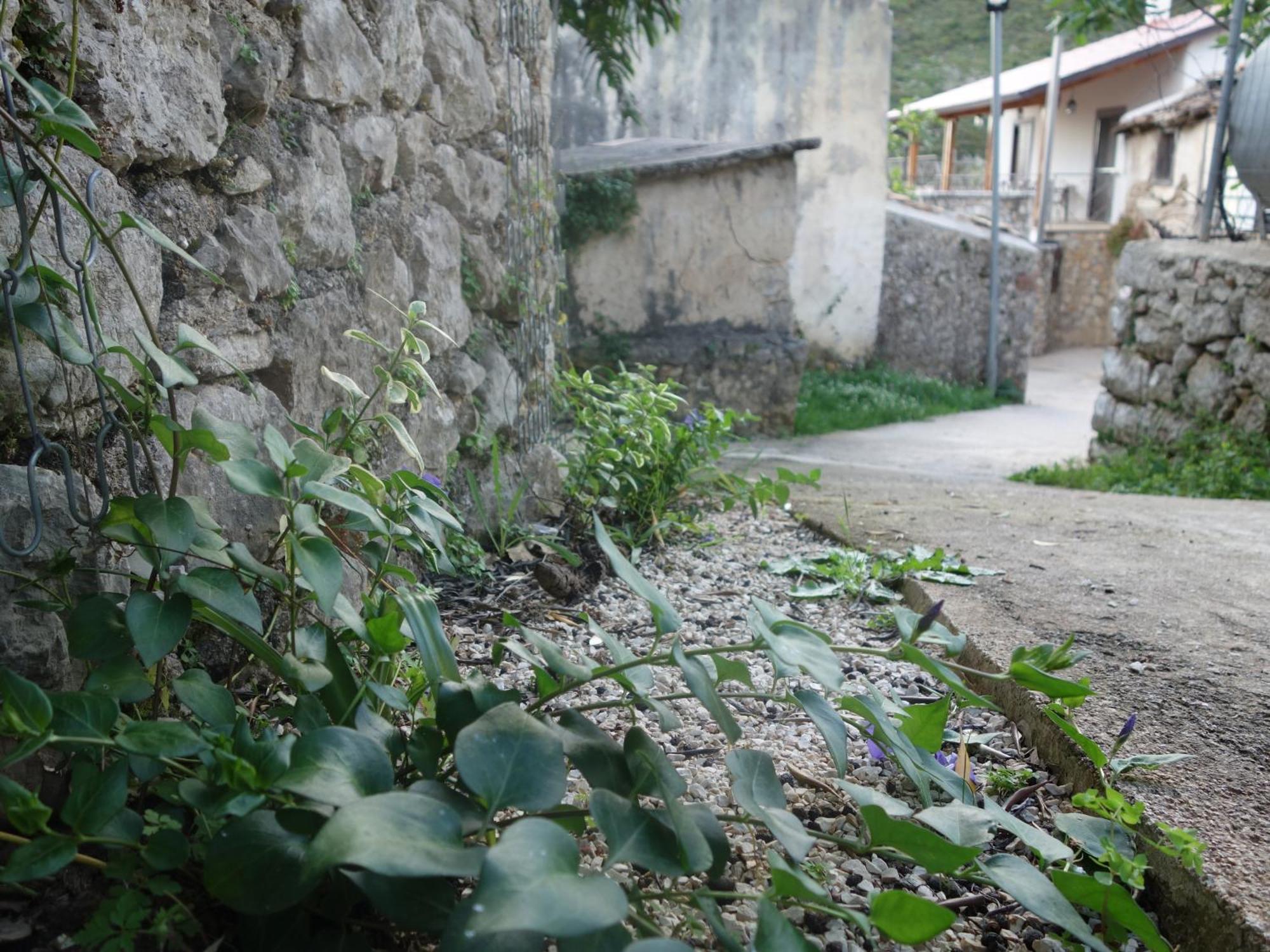 Guesthouse Near The Castle Of Himare Exterior photo